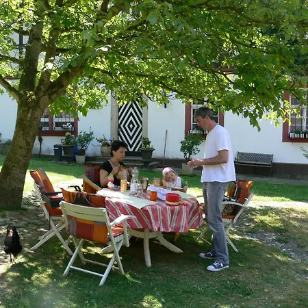 Altes Forstamt Im Teutoburger Wald Wald-blick Appartement