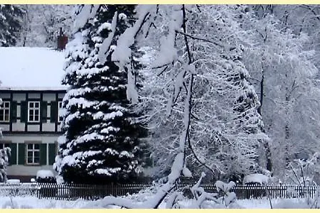 Altes Forstamt Im Teutoburger Wald Wald-blick Appartement *