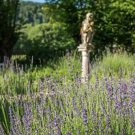 Altes Forstamt Im Teutoburger Wald Wald-blick Altenbeken