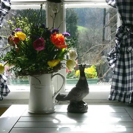 Appartement Altes Forstamt Im Teutoburger Wald Wald-blick