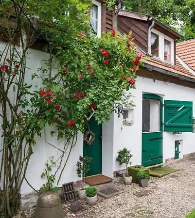 Appartement Altes Forstamt Im Teutoburger Wald Wald-blick *
